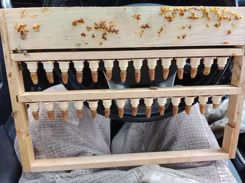 Le Rucher Pedousseau Le Rucher Pedousseau