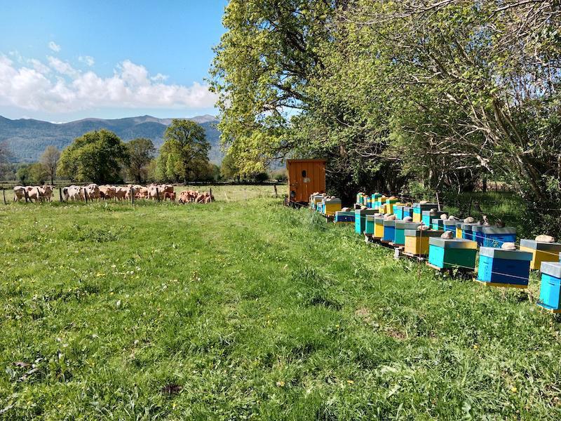 Le Rucher Pedousseau Le Rucher Pedousseau