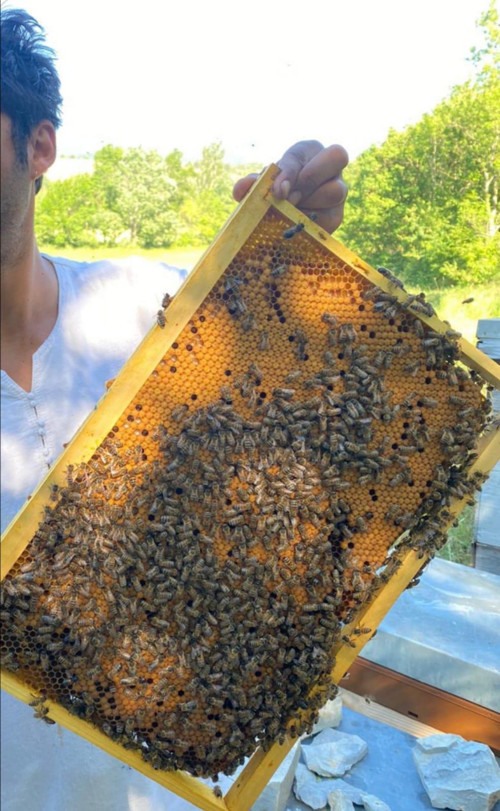 Le Rucher du Roubion Le Rucher du Roubion