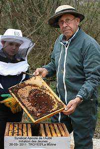 Syndicat apicole de l'Aube