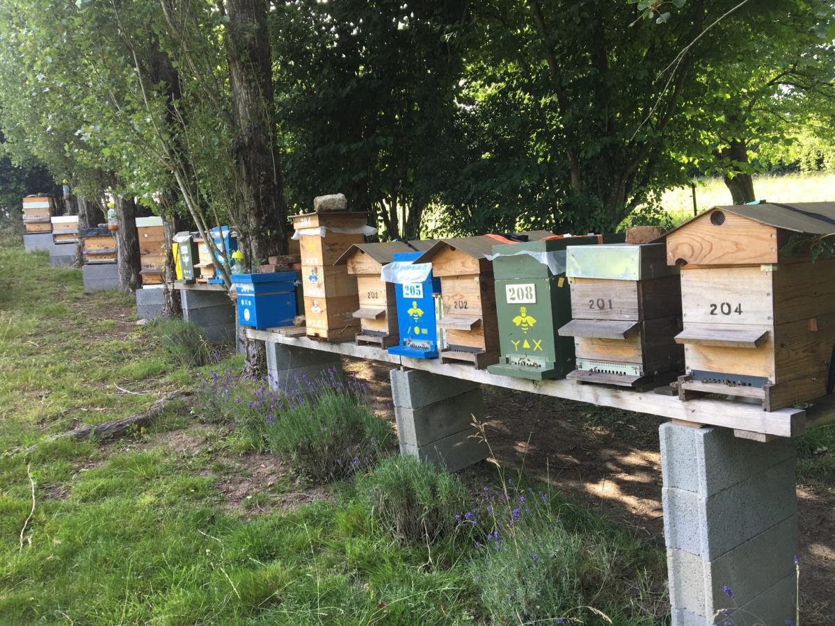 L'Abeille du Pays de Bray L'Abeille du Pays de Bray