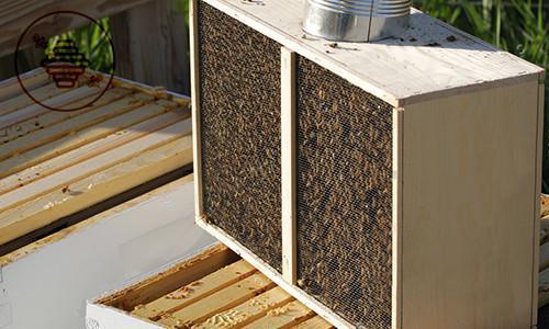 La Ruche'Tic à Belgentier (PACA) La Ruche'Tic à Belgentier (PACA)