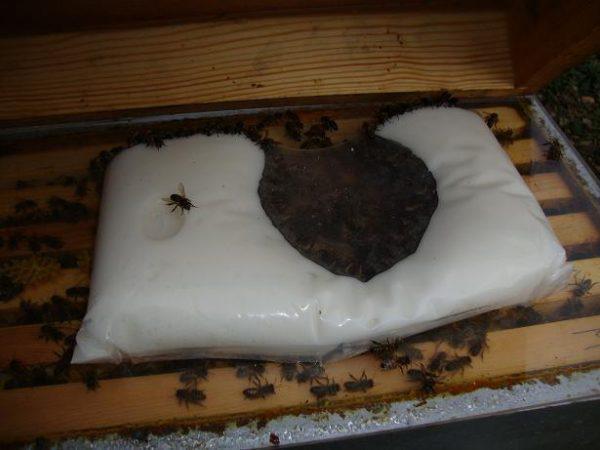 Apifonda : Comment nourrir ses abeilles avec et où l'acheter ? Apifonda : Comment nourrir ses abeilles avec et où l'acheter ?