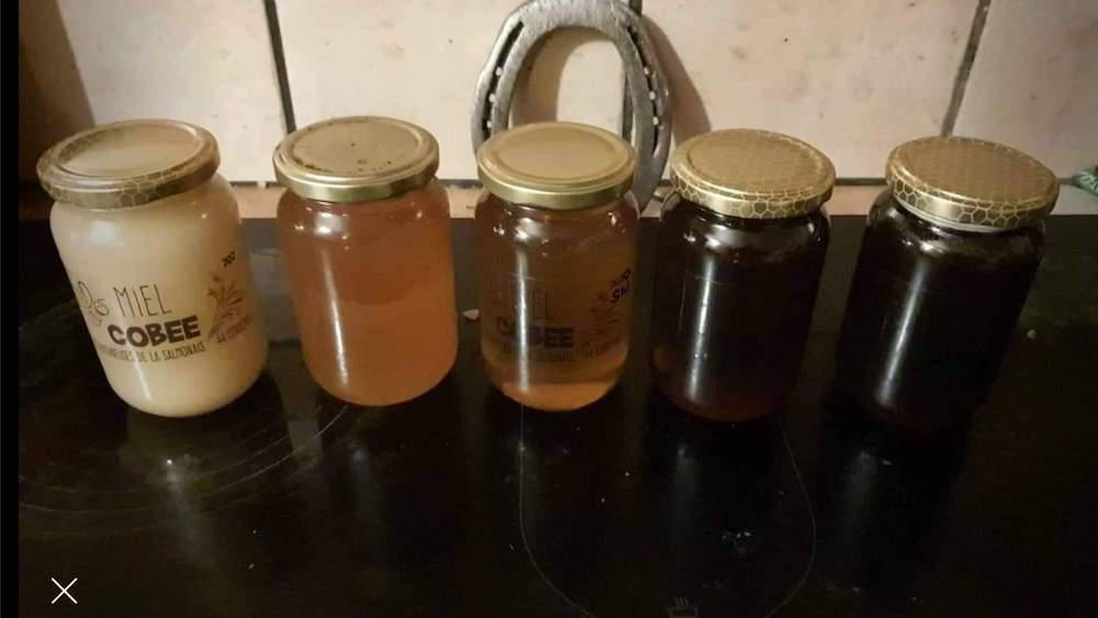 Cobee les Butineuses de la Salmonais Cobee les Butineuses de la Salmonais