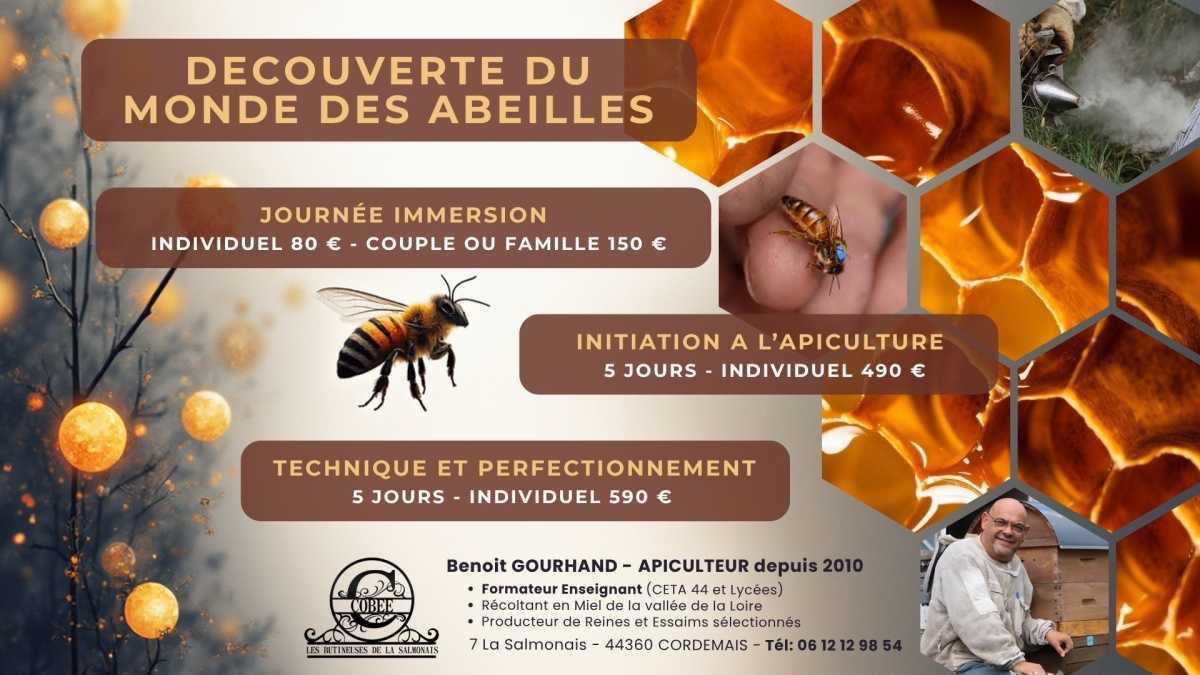 Cobee les Butineuses de la Salmonais 