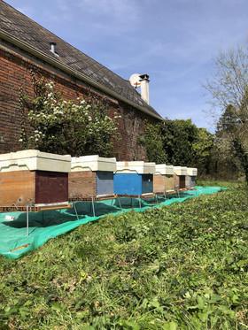 Made by bee's france Made by bee's france