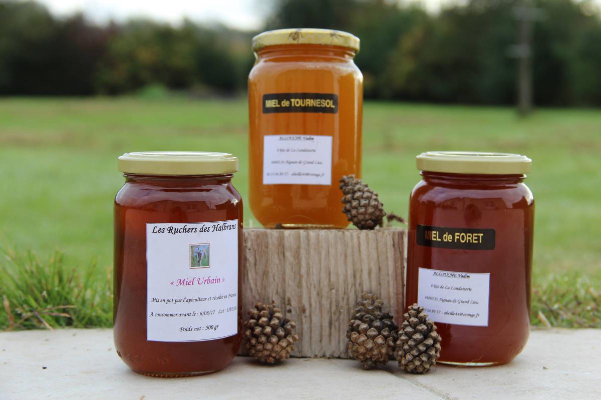 Les Ruchers des Halbrans Les Ruchers des Halbrans