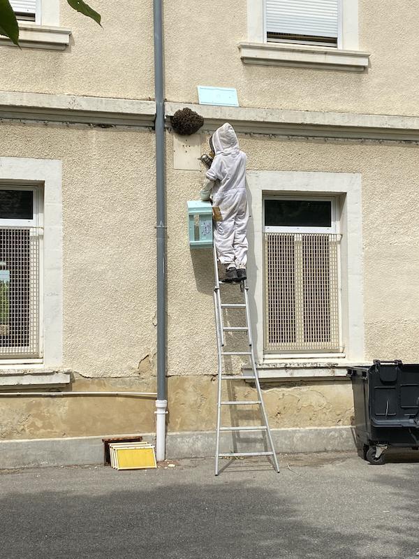 Le Rucher des sources Le Rucher des sources