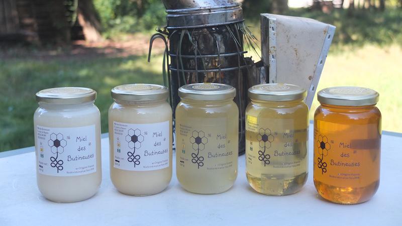Miel des Butineuses  Miel des Butineuses
