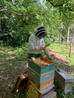 Miel des Butineuses  Miel des Butineuses