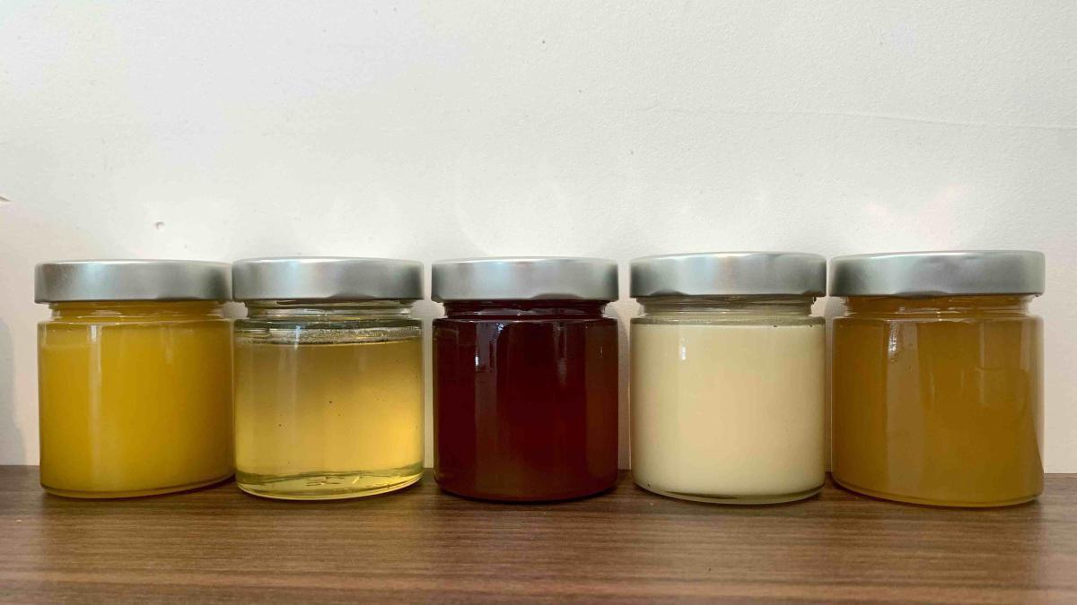 Les abeilles d'avenir Les abeilles d'avenir