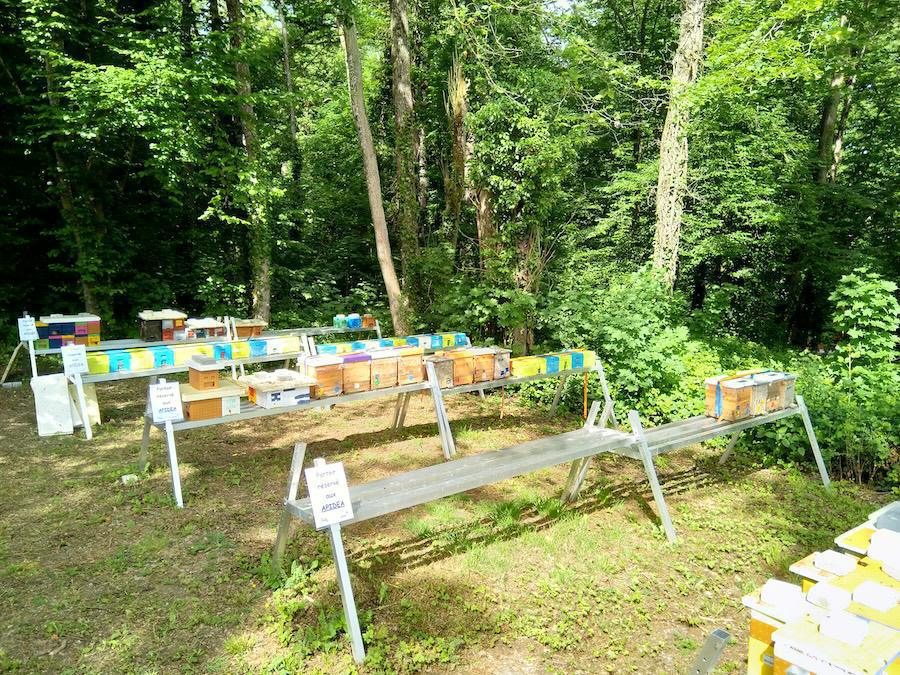 Rucher Merodegoud Rucher Merodegoud