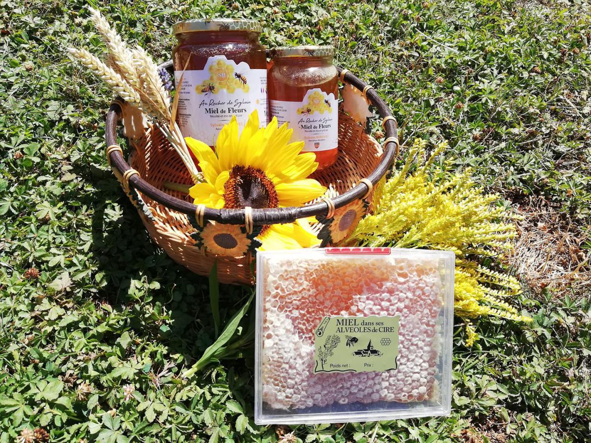 Le Rucher de Sylvain Le Rucher de Sylvain