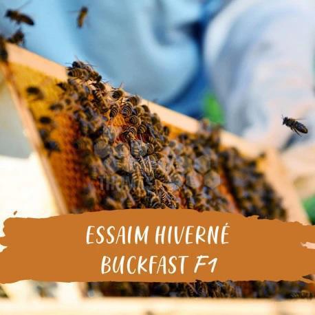 Thomas Apiculture - Magasin de LANGON Thomas Apiculture - Magasin de LANGON