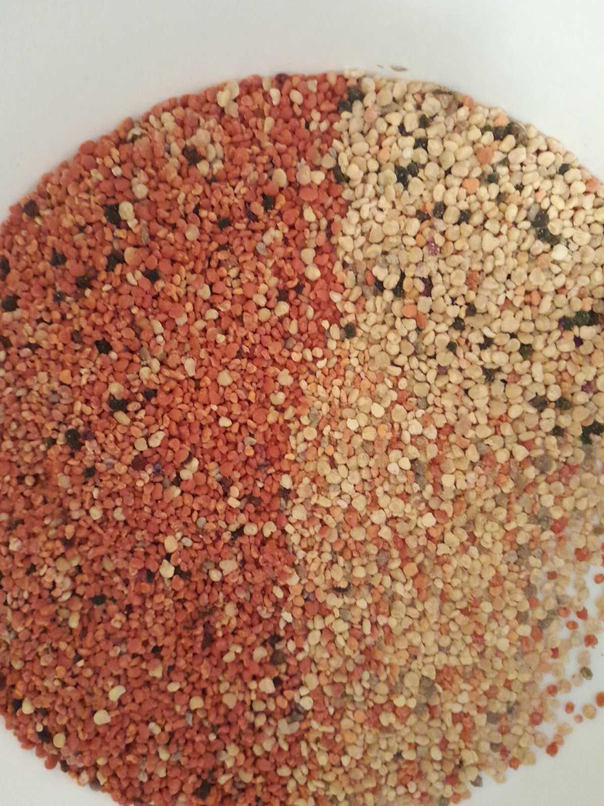 Les Ruchers de l'Ource Les Ruchers de l'Ource