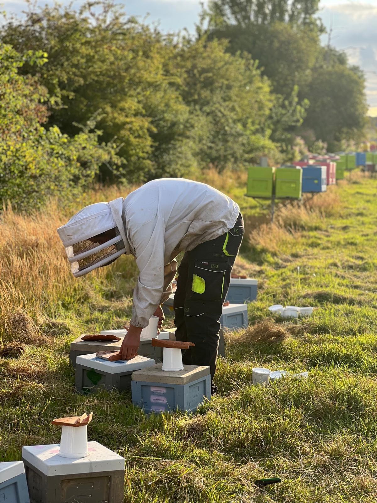 Les Ruchers de l'Ource Les Ruchers de l'Ource