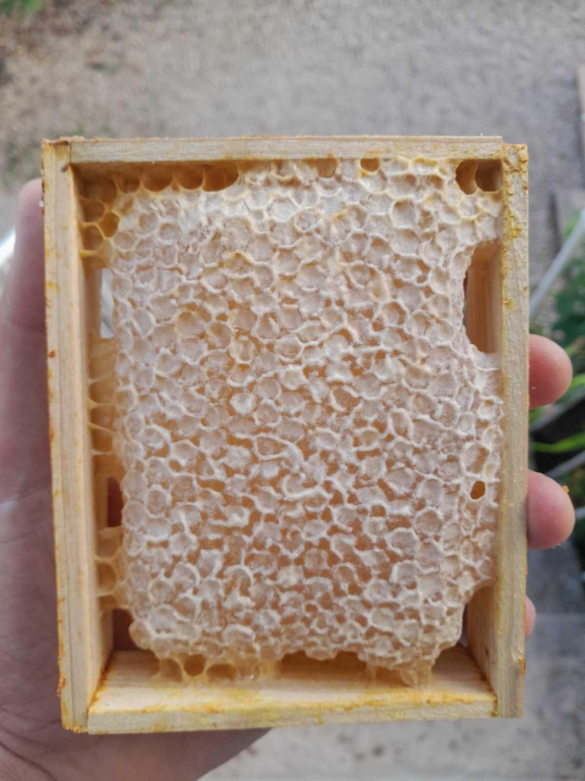 Les Ruchers de l'Ource Les Ruchers de l'Ource