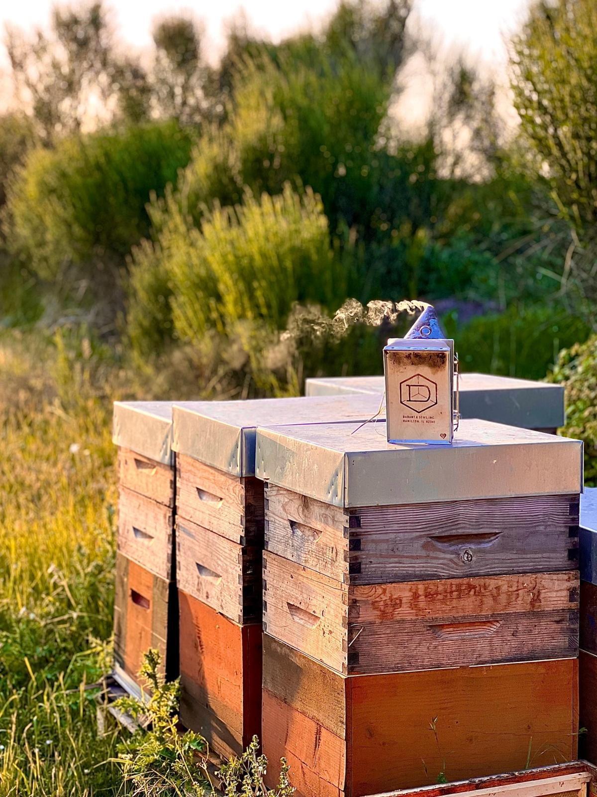 Les Ruchers de l'Ource Les Ruchers de l'Ource