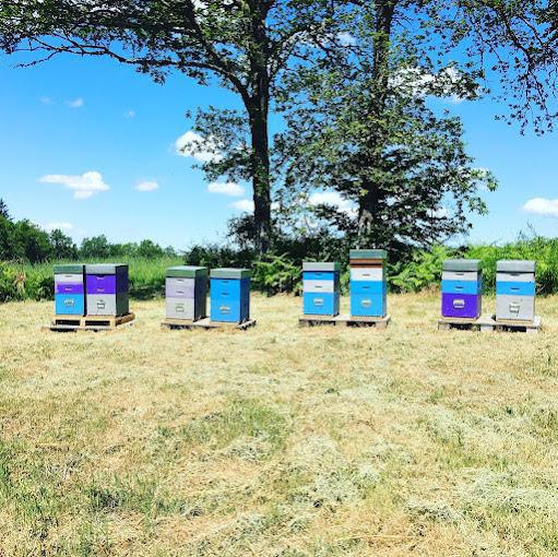 L’Abeille d’Obazine L’Abeille d’Obazine