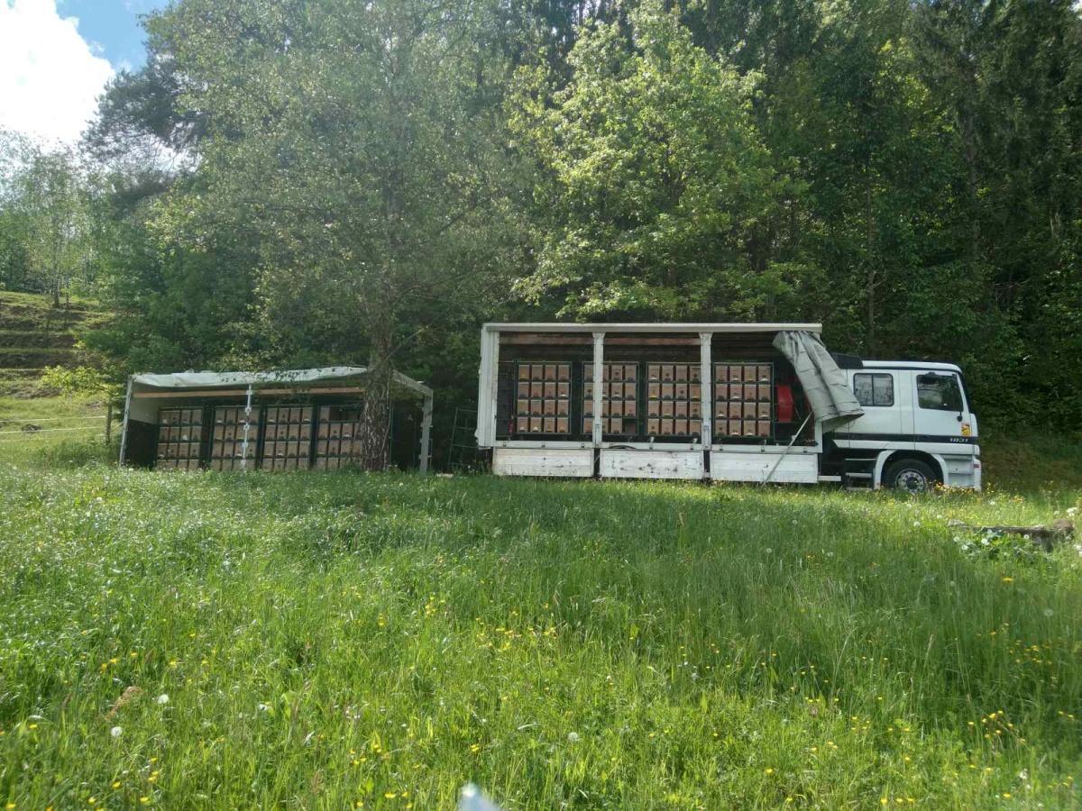 Apivie & La Carniole Apivie & La Carniole