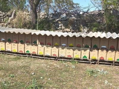 Apivie & La Carniole Apivie & La Carniole