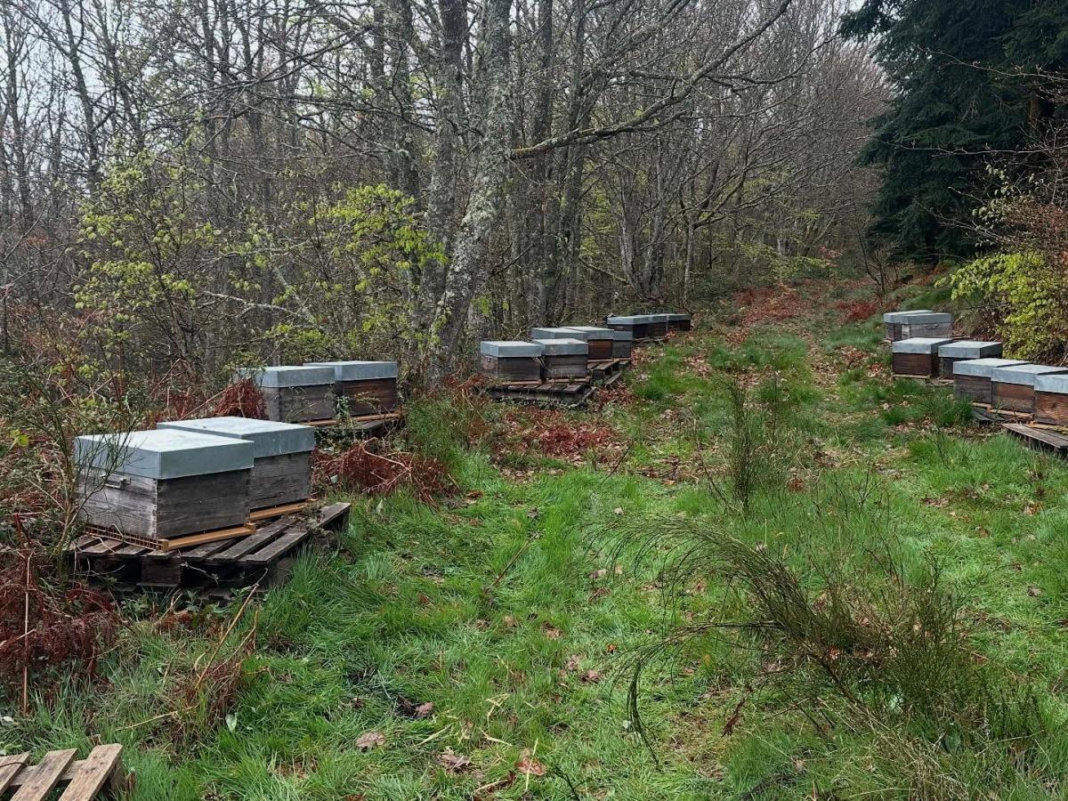 Miellerie SENEGAS Miellerie SENEGAS