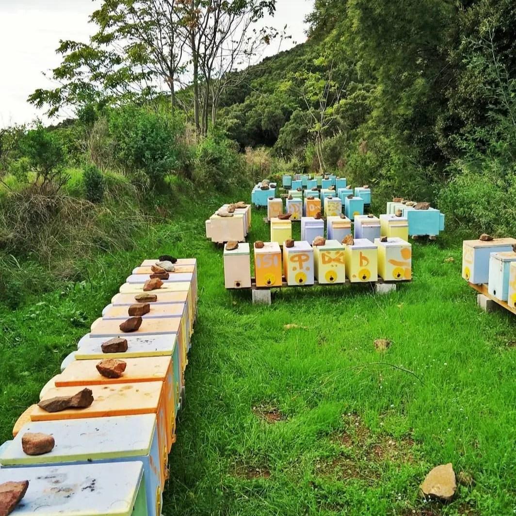 Esterel Apiculture Esterel Apiculture