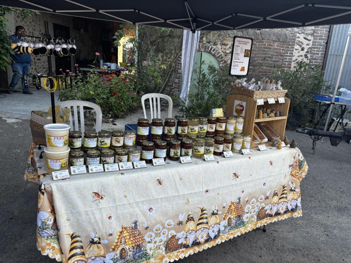 Nicolas et ses abeilles Nicolas et ses abeilles