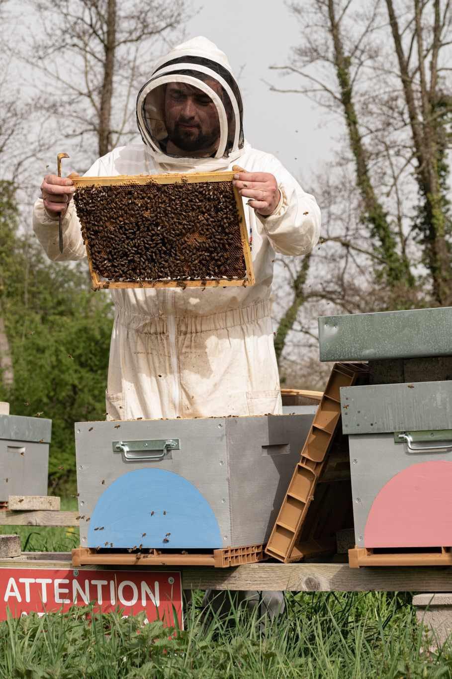 Les Abeilles d'Adrien Les Abeilles d'Adrien