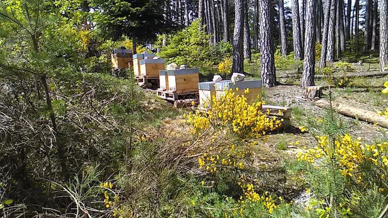 Miellerie des Fontaines Miellerie des Fontaines