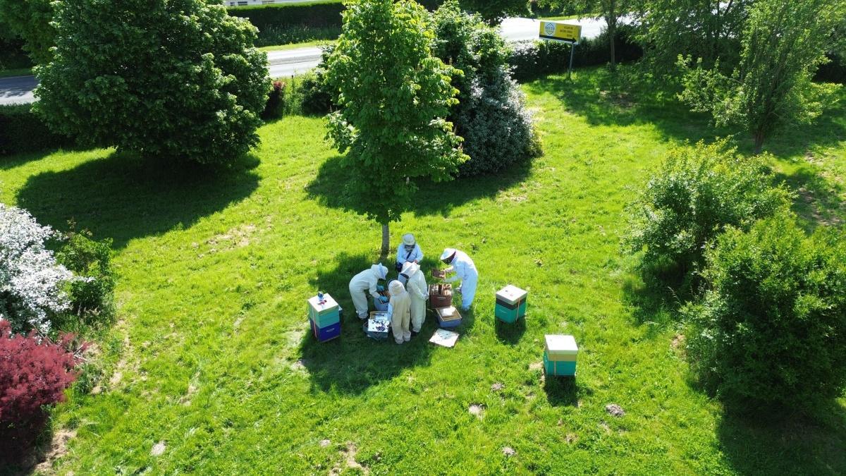 ROUTE D’OR Apiculture