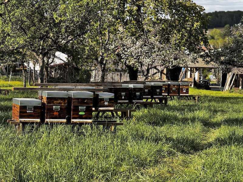 La Ferme Aux Abeilles Cami&Lou La Ferme Aux Abeilles Cami&Lou