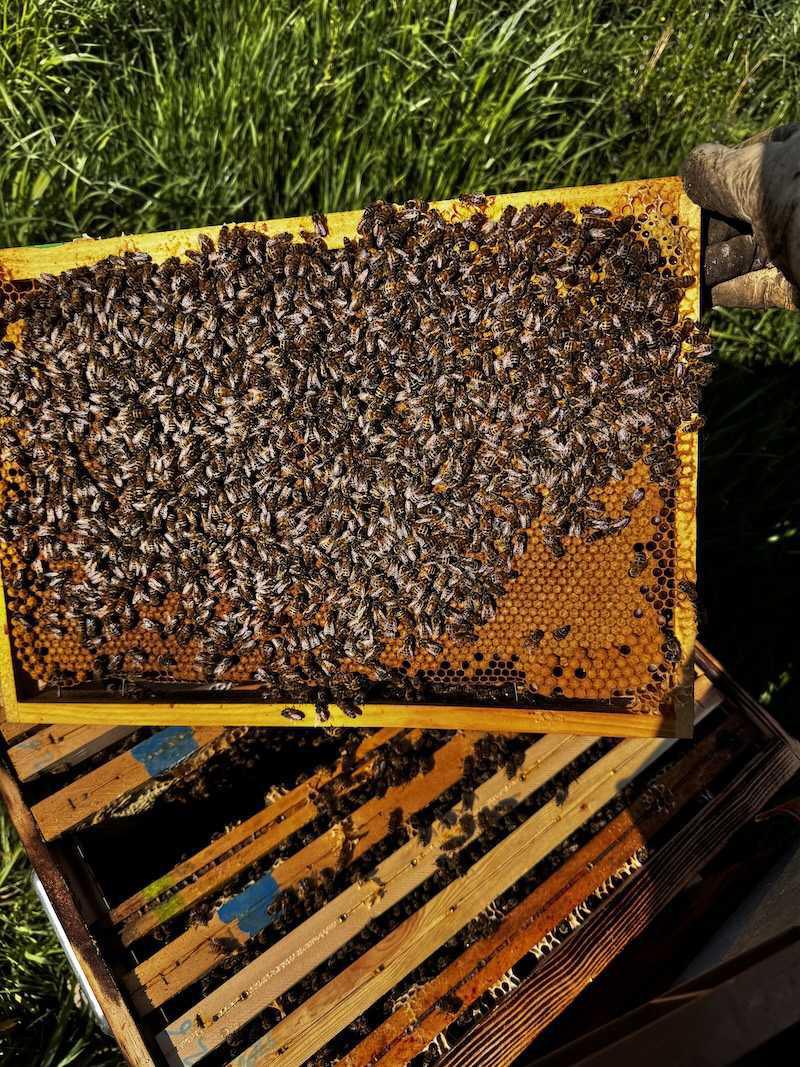 La Ferme Aux Abeilles Cami&Lou