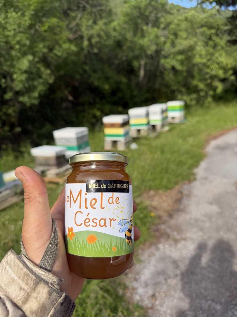 Le Miel De Cesar