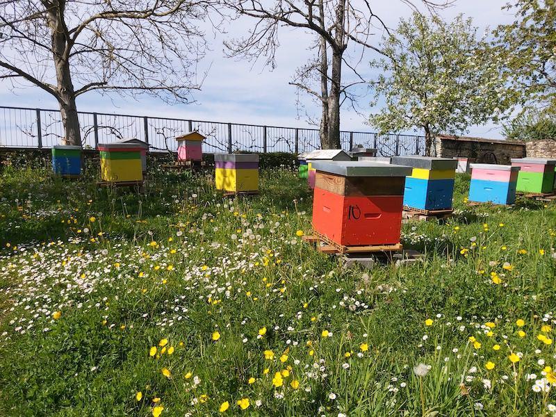 Un Rucher Le Rucher La Piquerie - Apiculteurs récoltants dans la Nièvre