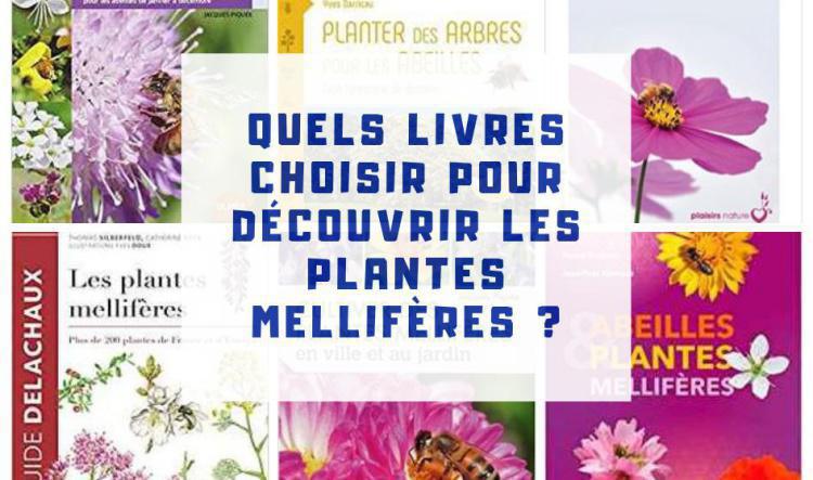 TOP 10 des livres pour mieux connaitre les plantes mellifères.
