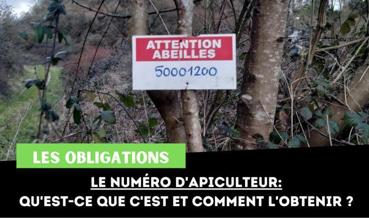 Le numéro d'apiculteur - Qu'est-ce que c'est et comment l'obtenir ?