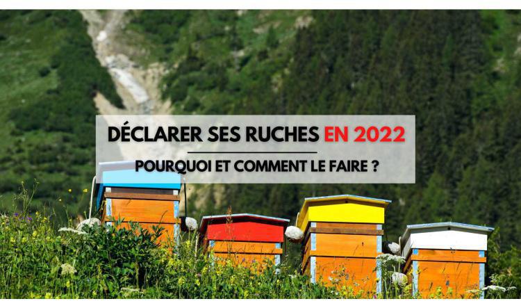Déclarer ses ruches en 2023 - Pourquoi et comment le faire ?