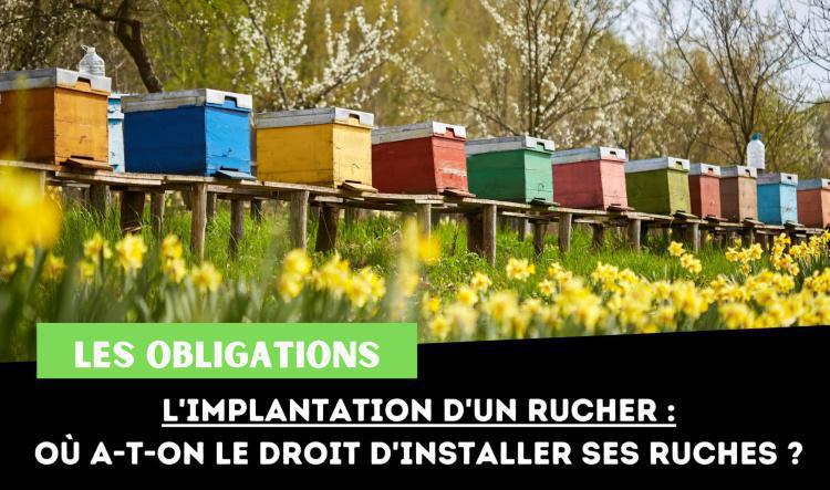 L'implantation d'un rucher - Où a-t-on le droit d'installer ses ruches ?