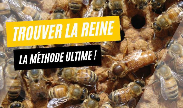 La méthode ultime pour trouver une reine