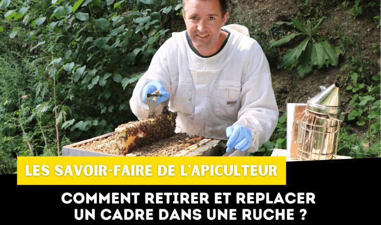 Comment retirer et replacer un cadre dans une ruche ?