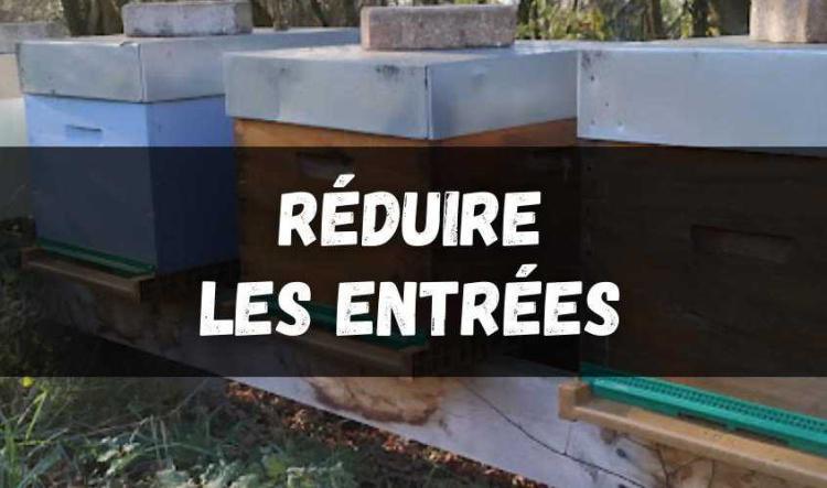 Réduire la taille de l'entrée de la ruche