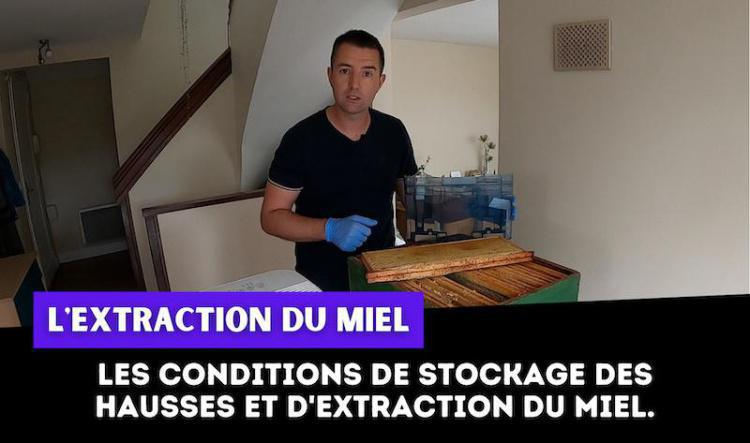 Les conditions de stockage des hausses et d'extraction du miel.