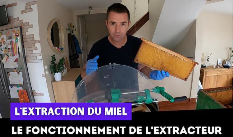 Le fonctionnement d'un extracteur pour extraire le miel des cadres.