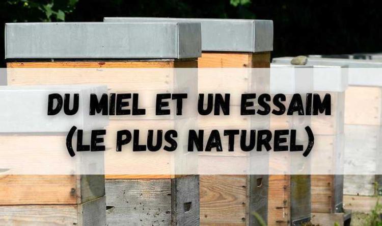 Produire du miel et limiter le risque d’essaimage (le plus naturel)