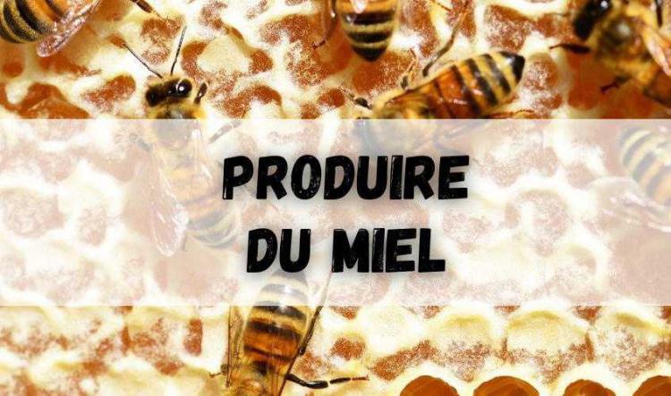 Ne produire que du miel