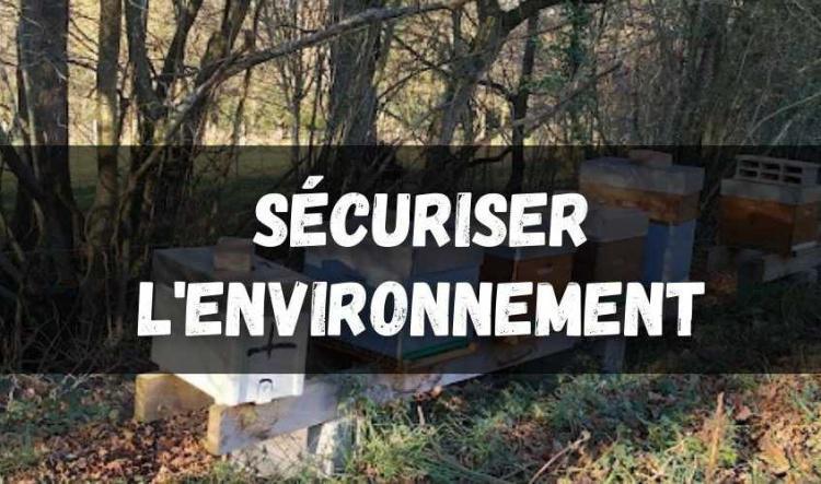 Sécuriser l'environnement autour de vos ruches
