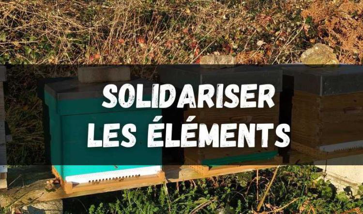 Solidariser les éléments de votre ruche