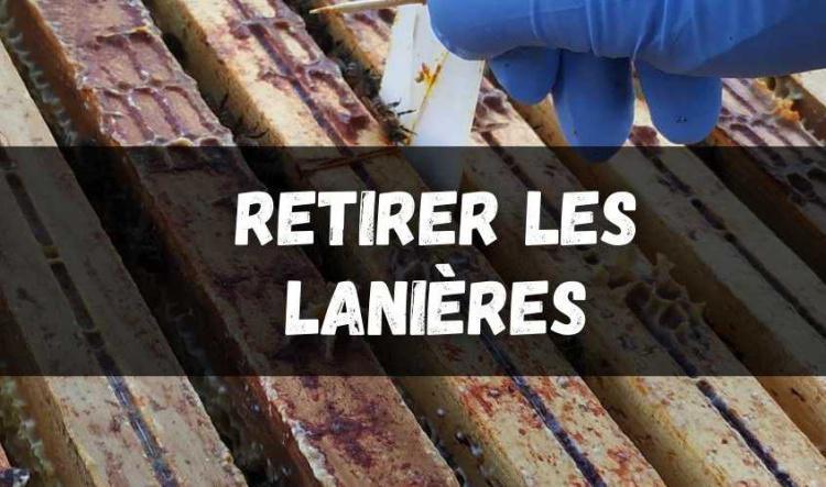 Retirer les traitements contre le varroa