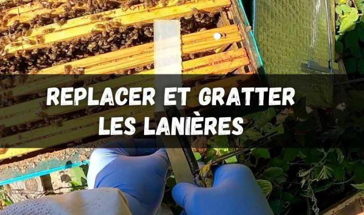 Replacer et gratter vos lanières de traitement contre le varroa